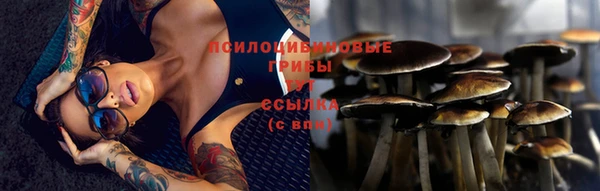 круглые Дмитриев
