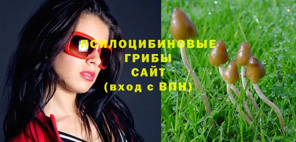 не бодяженный Гусиноозёрск